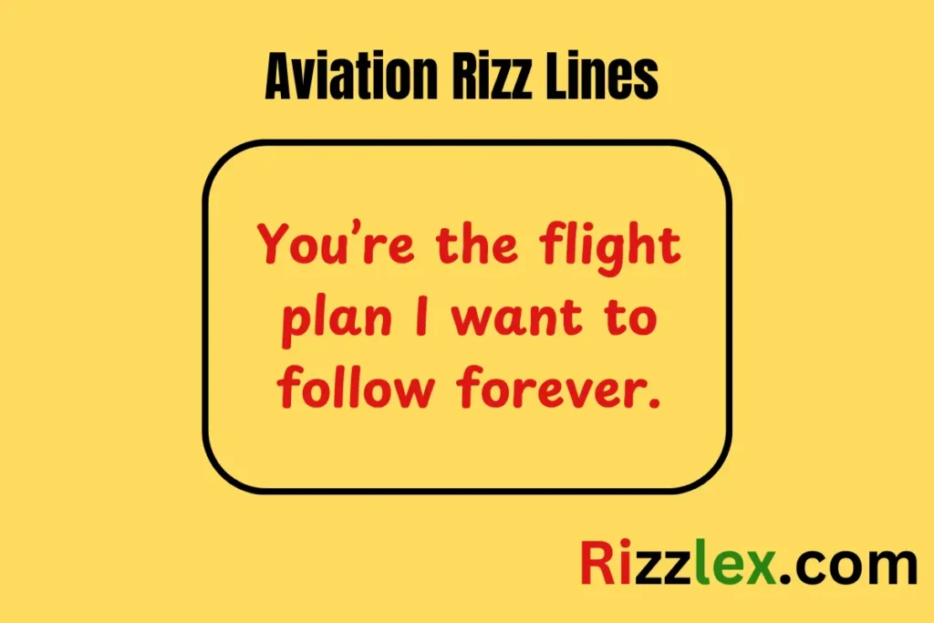 Aviation Rizz Lines