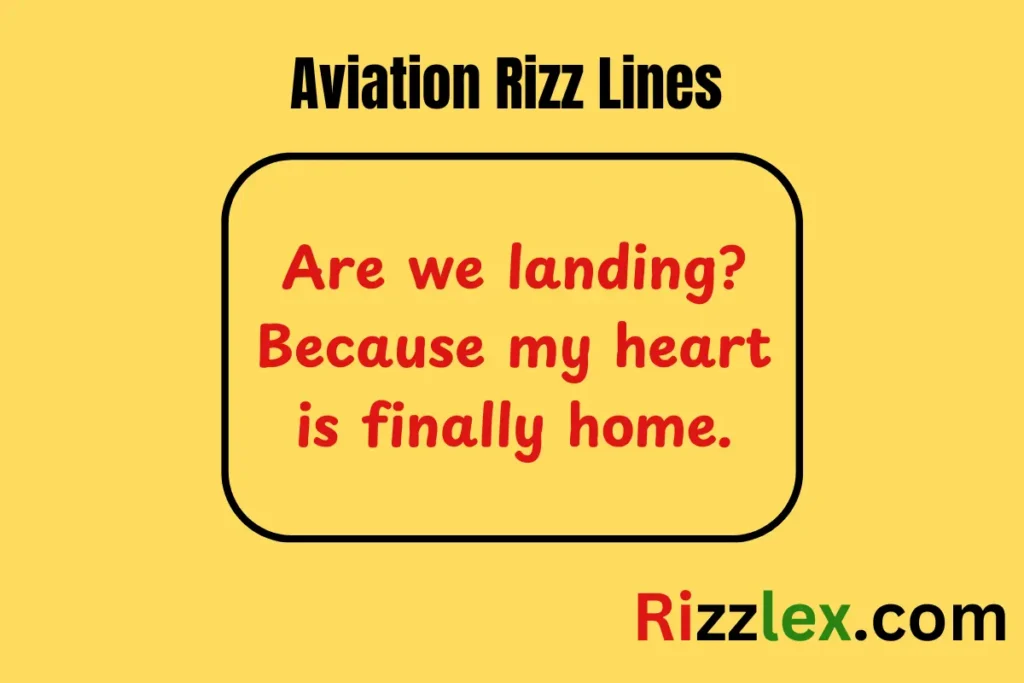 Aviation Rizz Lines