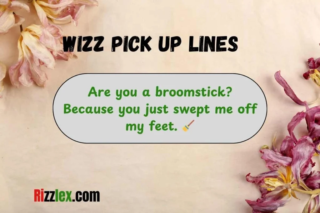 Wizz Pick Up lines