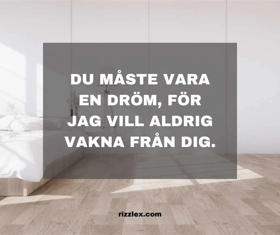 best rizz lines svenska