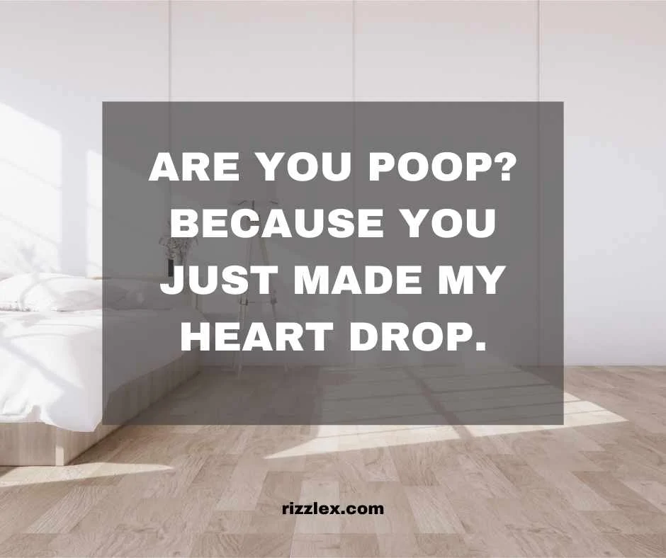 Poop Pick Up Lines 💩