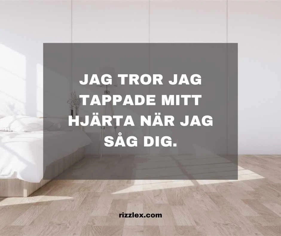 rizz lines på svenska