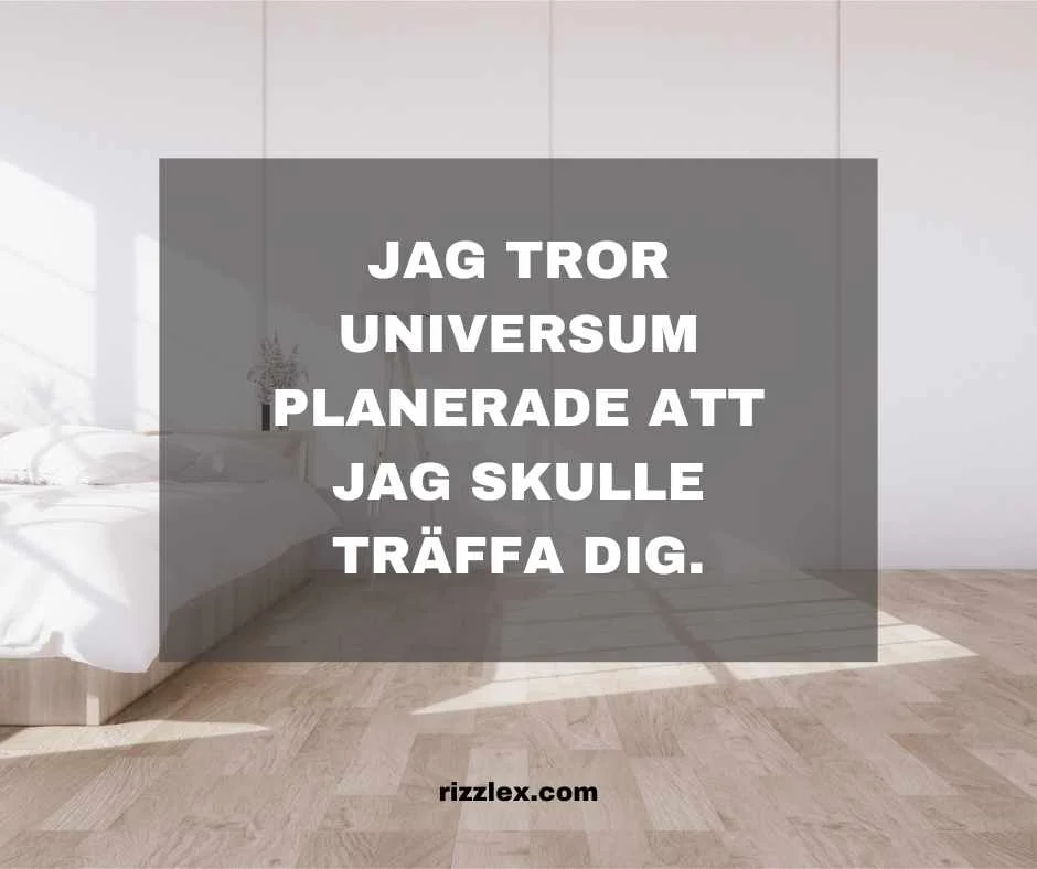 rizz lines på svenska