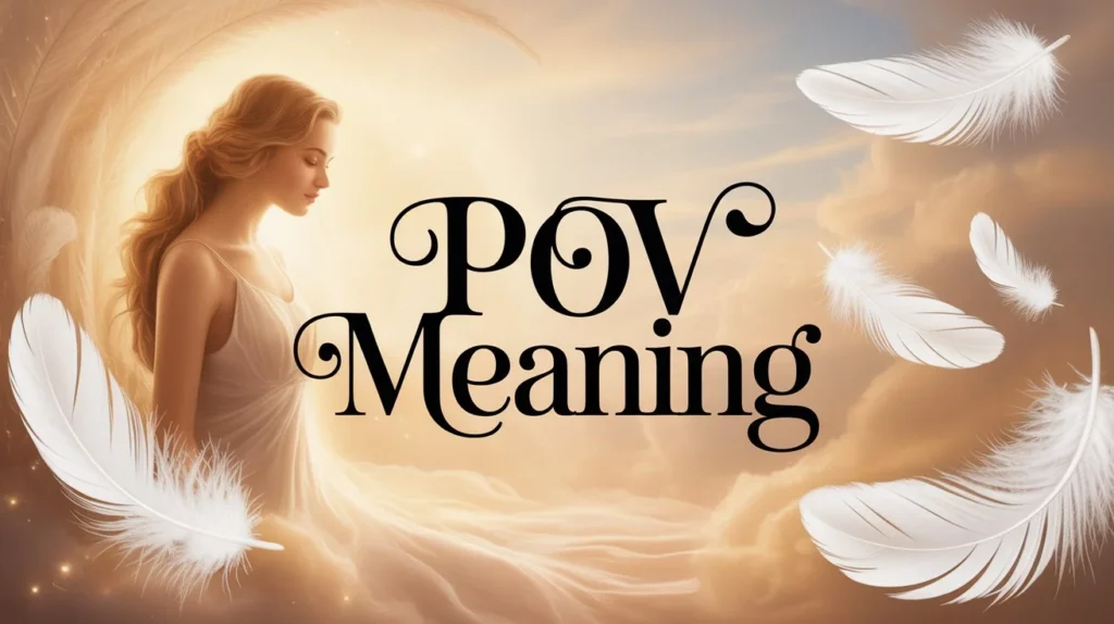 POV Meaning