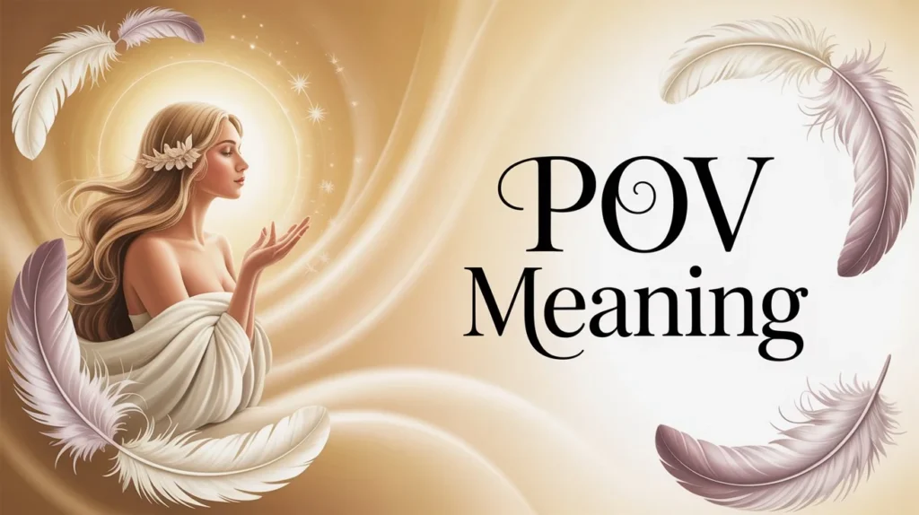 POV Meaning in Chat