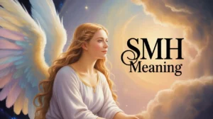 SMH Meaning