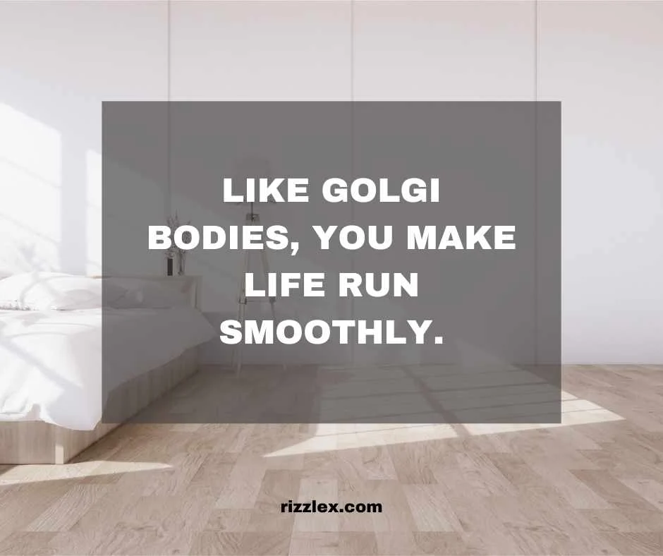 golgi bodies pick up line