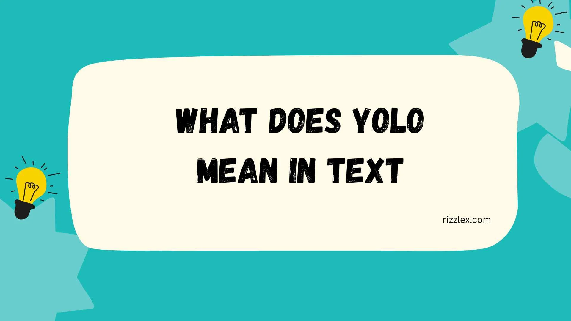 what does yolo mean in text